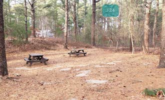 Camping near Cape Cod's Maple Park Campground and RV Park: Barretts Pond Campground — Myles Standish State Forest, South Carver, Massachusetts