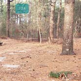 Review photo of Barretts Pond Campground — Myles Standish State Forest by Jean C., March 2, 2021