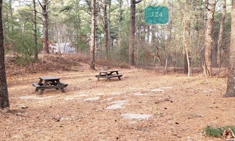 Camping near Ellis-Haven Family Campground: Barretts Pond Campground — Myles Standish State Forest, South Carver, Massachusetts