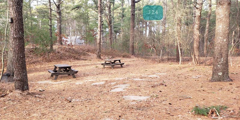 Camper submitted image from Barretts Pond Campground — Myles Standish State Forest
