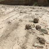 Review photo of Badlands / White River KOA by Jennie R., May 30, 2018