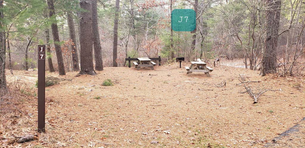 Camper-submitted photo at Barretts Pond Campground — Myles Standish State Forest near New Bedford, MA