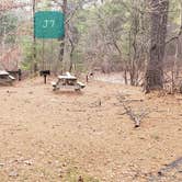 Review photo of Barretts Pond Campground — Myles Standish State Forest by Jean C., March 2, 2021