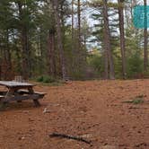 Review photo of Barretts Pond Campground — Myles Standish State Forest by Jean C., March 2, 2021