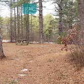 Review photo of Barretts Pond Campground — Myles Standish State Forest by Jean C., March 2, 2021