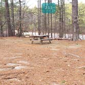 Review photo of Barretts Pond Campground — Myles Standish State Forest by Jean C., March 2, 2021