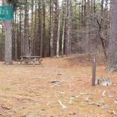 Review photo of Barretts Pond Campground — Myles Standish State Forest by Jean C., March 2, 2021