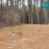 Review photo of Barretts Pond Campground — Myles Standish State Forest by Jean C., March 2, 2021