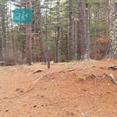 Review photo of Barretts Pond Campground — Myles Standish State Forest by Jean C., March 2, 2021