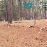 Review photo of Barretts Pond Campground — Myles Standish State Forest by Jean C., March 2, 2021