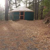 Review photo of Barretts Pond Campground — Myles Standish State Forest by Jean C., March 2, 2021