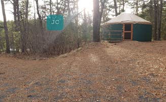 Jean C.'s photo of a cabin at Barretts Pond Campground — Myles Standish State Forest near Oak Bluffs, MA