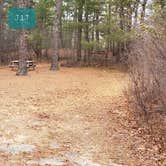 Review photo of Barretts Pond Campground — Myles Standish State Forest by Jean C., March 2, 2021