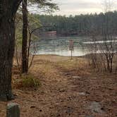 Review photo of Barretts Pond Campground — Myles Standish State Forest by Jean C., March 2, 2021