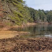 Review photo of Barretts Pond Campground — Myles Standish State Forest by Jean C., March 2, 2021