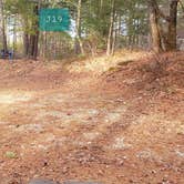 Review photo of Barretts Pond Campground — Myles Standish State Forest by Jean C., March 2, 2021