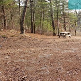 Review photo of Barretts Pond Campground — Myles Standish State Forest by Jean C., March 2, 2021