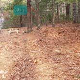 Review photo of Barretts Pond Campground — Myles Standish State Forest by Jean C., March 2, 2021