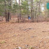 Review photo of Barretts Pond Campground — Myles Standish State Forest by Jean C., March 2, 2021