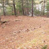 Review photo of Barretts Pond Campground — Myles Standish State Forest by Jean C., March 2, 2021