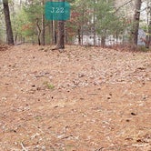 Review photo of Barretts Pond Campground — Myles Standish State Forest by Jean C., March 2, 2021