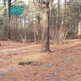 Review photo of Barretts Pond Campground — Myles Standish State Forest by Jean C., March 2, 2021