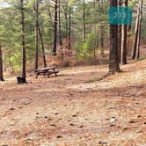 Review photo of Barretts Pond Campground — Myles Standish State Forest by Jean C., March 2, 2021