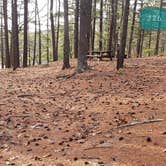 Review photo of Barretts Pond Campground — Myles Standish State Forest by Jean C., March 2, 2021