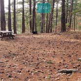 Review photo of Barretts Pond Campground — Myles Standish State Forest by Jean C., March 2, 2021