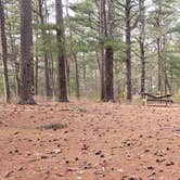 Review photo of Barretts Pond Campground — Myles Standish State Forest by Jean C., March 2, 2021