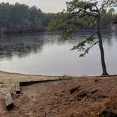 Review photo of Barretts Pond Campground — Myles Standish State Forest by Jean C., March 2, 2021