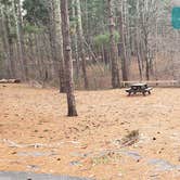 Review photo of Barretts Pond Campground — Myles Standish State Forest by Jean C., March 2, 2021