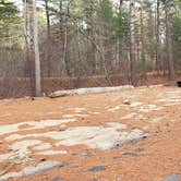 Review photo of Barretts Pond Campground — Myles Standish State Forest by Jean C., March 2, 2021