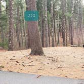 Review photo of Barretts Pond Campground — Myles Standish State Forest by Jean C., March 2, 2021