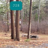 Review photo of Barretts Pond Campground — Myles Standish State Forest by Jean C., March 2, 2021