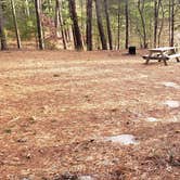 Review photo of Barretts Pond Campground — Myles Standish State Forest by Jean C., March 2, 2021