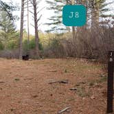 Review photo of Barretts Pond Campground — Myles Standish State Forest by Jean C., March 2, 2021