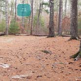 Review photo of Barretts Pond Campground — Myles Standish State Forest by Jean C., March 2, 2021