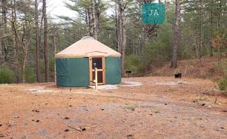 Jean C.'s photo of a cabin at Barretts Pond Campground — Myles Standish State Forest near Barnstable Town, MA