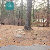 Review photo of Barretts Pond Campground — Myles Standish State Forest by Jean C., March 2, 2021