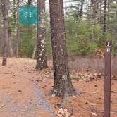 Review photo of Barretts Pond Campground — Myles Standish State Forest by Jean C., March 2, 2021