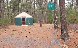 Jean C.'s photo at Barretts Pond Campground — Myles Standish State Forest near Taunton, MA
