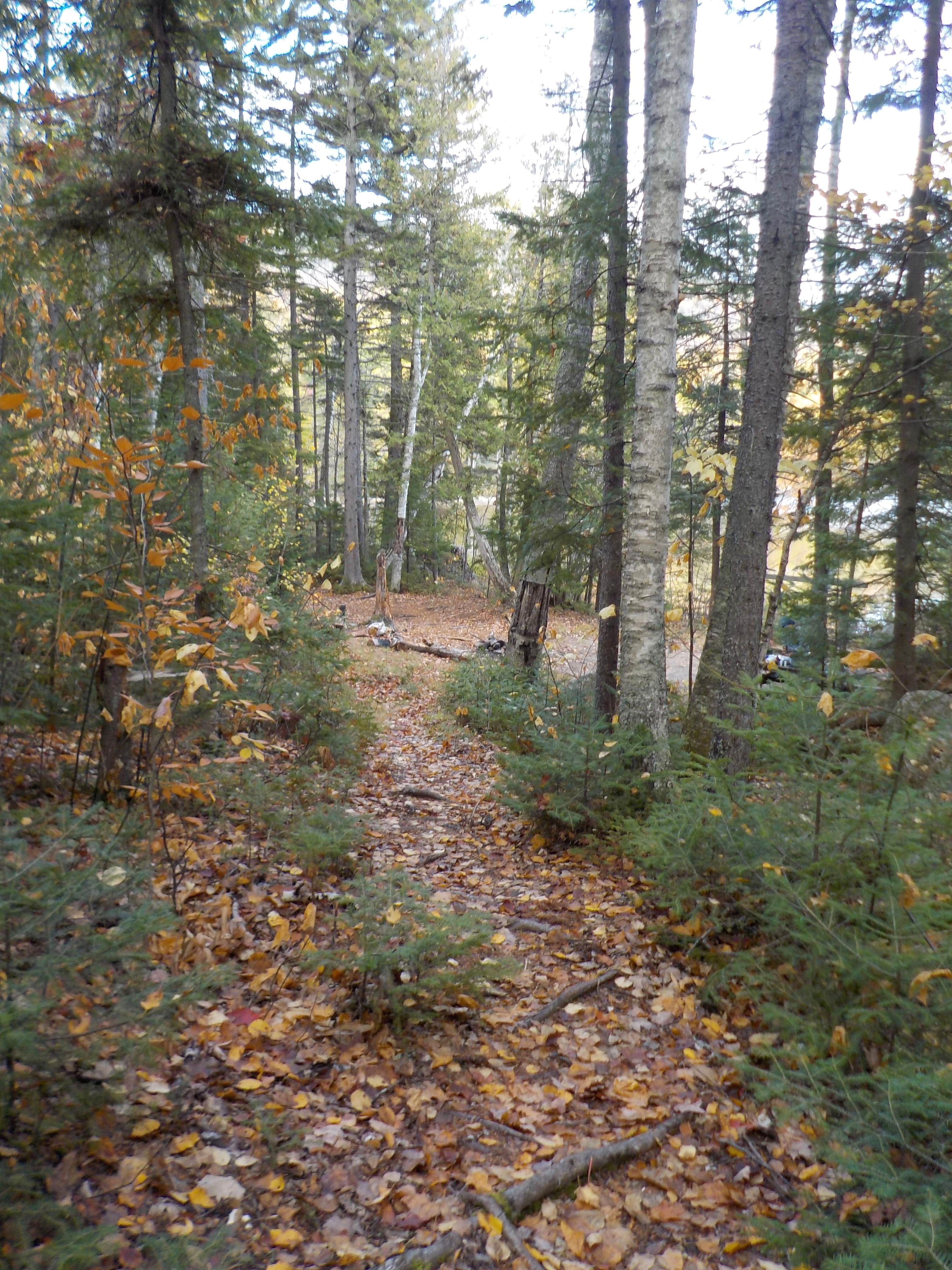 Camper submitted image from The Narrows- Attean Pond - 5