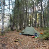 Review photo of The Narrows- Attean Pond by Sarah C., March 2, 2021