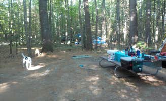 Sarah C.'s photo of camping with pets at Campton Campground near Plymouth, NH
