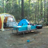 Review photo of Campton Campground by Sarah C., March 2, 2021