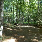 Review photo of Campton Campground by Sarah C., March 2, 2021