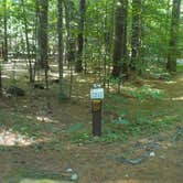 Review photo of Campton Campground by Sarah C., March 2, 2021