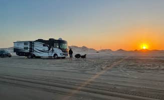 Shirly W.'s photo of camping with pets at Edwin King Atwood Park in Texas