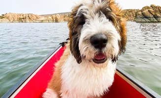 Doug H.'s photo of camping with pets at Point of Rocks RV Campground near Crown King, AZ